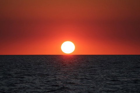 Roebuck Bay Snubfin Dolphin Cruise - Surfers Paradise Gold Coast 3