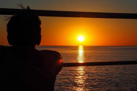 Roebuck Bay Snubfin Dolphin Cruise - Surfers Paradise Gold Coast 4