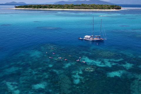 Ocean Free Green Island & Great Barrier Reef Snorkel Cruise, Cairns 25 Guests - Surfers Paradise Gold Coast 2