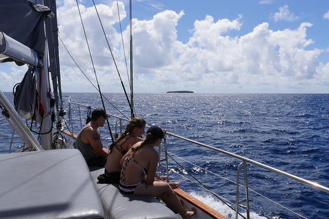 Ocean Free Green Island & Great Barrier Reef Snorkel Cruise, Cairns 25 Guests - Surfers Paradise Gold Coast 4