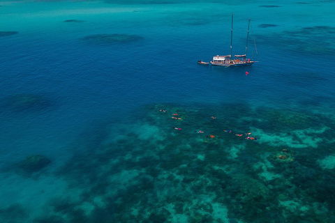 Ocean Free Green Island & Great Barrier Reef Snorkel Cruise, Cairns 25 Guests - Surfers Paradise Gold Coast 5