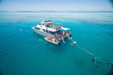 Ocean Freedom Great Barrier Reef Personal Luxury Snorkel & Dive Cruise, Cairns - Surfers Paradise Gold Coast 0