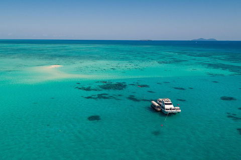 Ocean Freedom Great Barrier Reef Personal Luxury Snorkel & Dive Cruise, Cairns - Surfers Paradise Gold Coast 2