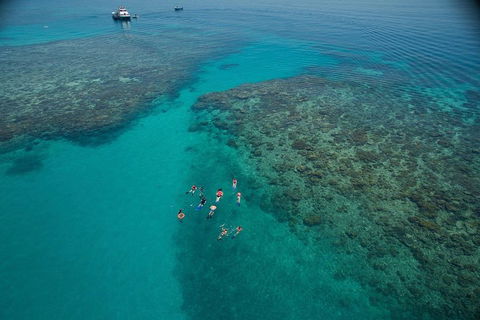 Ocean Freedom Great Barrier Reef Personal Luxury Snorkel & Dive Cruise, Cairns - Surfers Paradise Gold Coast 3