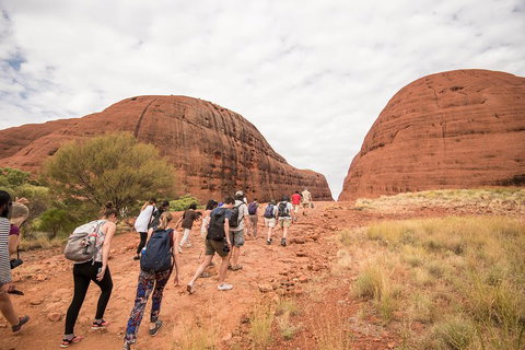 6 Day Red Centre Explorer With Accommodation - Surfers Paradise Gold Coast 3