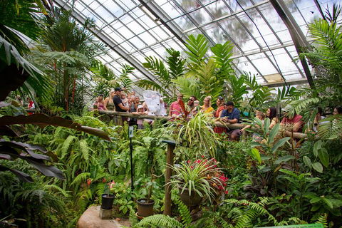 Australian Butterfly Sanctuary - Surfers Paradise Gold Coast 0