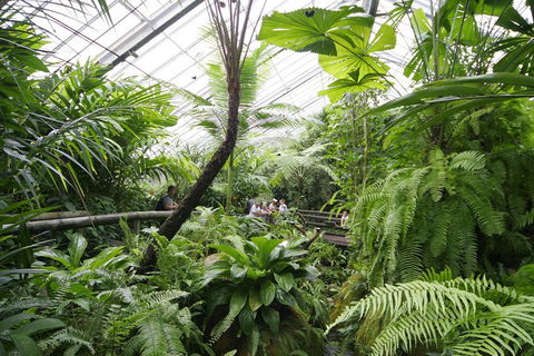 Australian Butterfly Sanctuary - Surfers Paradise Gold Coast 3