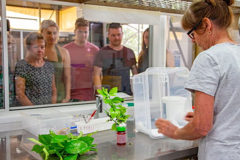 Australian Butterfly Sanctuary - Surfers Paradise Gold Coast 5