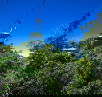 Classic Kuranda by Skyrail and Scenic Railway Including Rainforestation Koala and Wildlife Park and Pamagirri Aboriginal Experi - Surfers Paradise Gold Coast