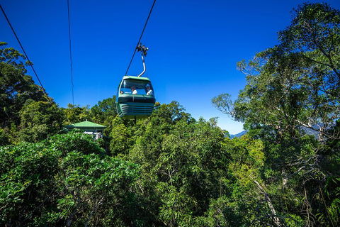 Classic Kuranda By Skyrail And Scenic Railway Including Rainforestation, Koala And Wildlife Park And Pamagirri Aboriginal Experi - Surfers Paradise Gold Coast 0