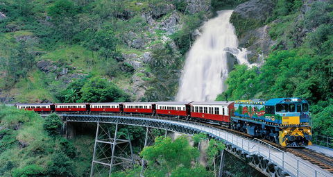Classic Kuranda By Skyrail And Scenic Railway Including Rainforestation, Koala And Wildlife Park And Pamagirri Aboriginal Experi - Surfers Paradise Gold Coast 1