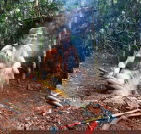 Kuranda Highlights including Rainforestation Aboriginal Culture and Wildlife - Surfers Paradise Gold Coast