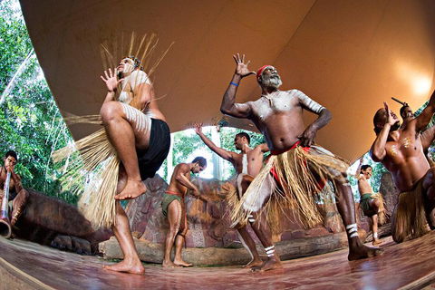 Kuranda Highlights Including Rainforestation Aboriginal Culture And Wildlife - Surfers Paradise Gold Coast 1