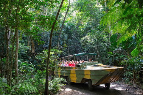 Kuranda Highlights Including Rainforestation Aboriginal Culture And Wildlife - Surfers Paradise Gold Coast 2