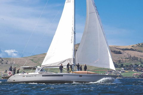 Half-Day Sailing On The Derwent River From Hobart - Surfers Paradise Gold Coast 1