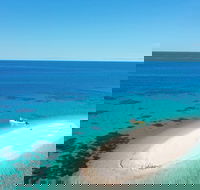 Ocean Safari Great Barrier Reef Experience in Cape Tribulation - Surfers Paradise Gold Coast