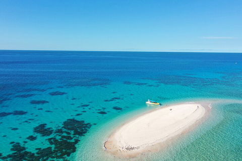 Ocean Safari Great Barrier Reef Experience In Cape Tribulation - Surfers Paradise Gold Coast 0