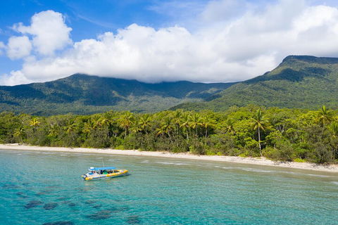 Ocean Safari Great Barrier Reef Experience In Cape Tribulation - Surfers Paradise Gold Coast 2