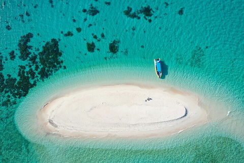Ocean Safari Great Barrier Reef Experience In Cape Tribulation - Surfers Paradise Gold Coast 3