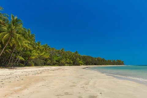 Ocean Safari Great Barrier Reef Experience In Cape Tribulation - Surfers Paradise Gold Coast 4