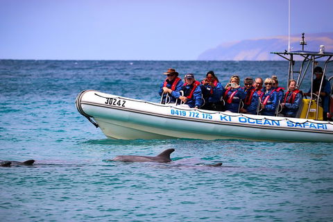 Kangaroo Island 75-Minute Ocean Safari - Surfers Paradise Gold Coast 4