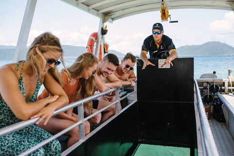 Fitzroy Island Day Trip From Cairns - Surfers Paradise Gold Coast 4