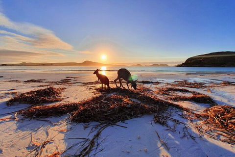 10-Day Perth To Adelaide Adventure Tour - Surfers Paradise Gold Coast 1