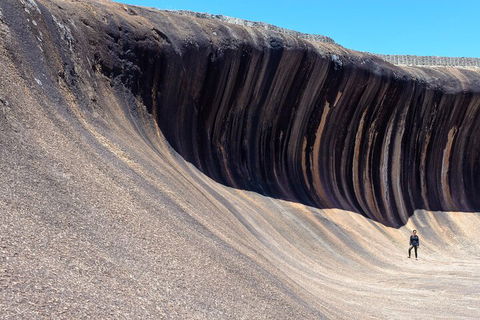 10-Day Perth To Adelaide Adventure Tour - Surfers Paradise Gold Coast 3