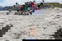 Book Viator Accommodation Vacations Surfers Paradise Gold Coast Surfers Paradise Gold Coast