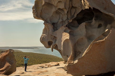 Kangaroo Island In A Day Tour From Adelaide - Surfers Paradise Gold Coast 5
