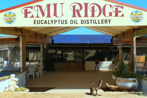 2 Day Ultimate Kangaroo Island With Return Ferry - Surfers Paradise Gold Coast 3
