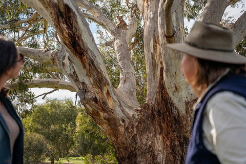 NEW TOUR - Kangaroo Island Road To Recovery Tour (1 Day/1 Night) - Surfers Paradise Gold Coast 0