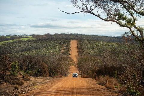 NEW TOUR - Kangaroo Island Road To Recovery Tour (1 Day/1 Night) - Surfers Paradise Gold Coast 2