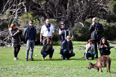 Small-Group Kangaroo Island 4WD Tour From Adelaide - Surfers Paradise Gold Coast 2