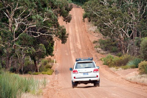 Small-Group Kangaroo Island 4WD Tour From Adelaide - Surfers Paradise Gold Coast 3