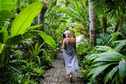 Cairns City Sights And Surrounds Tour - Surfers Paradise Gold Coast 2