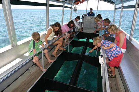 Cairns City Sights And Surrounds Tour - Surfers Paradise Gold Coast 5