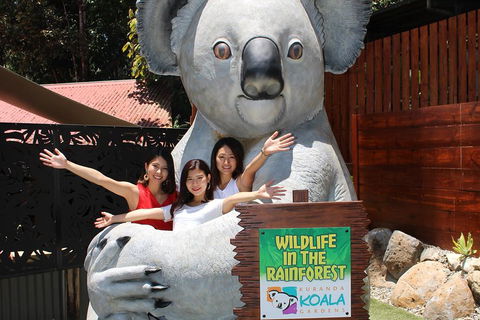 Kuranda Koala Gardens And Birdworld Admission Tickets - Surfers Paradise Gold Coast 3