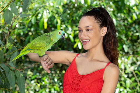 Kuranda Wildlife Experience Three Attraction Pass - Surfers Paradise Gold Coast 1