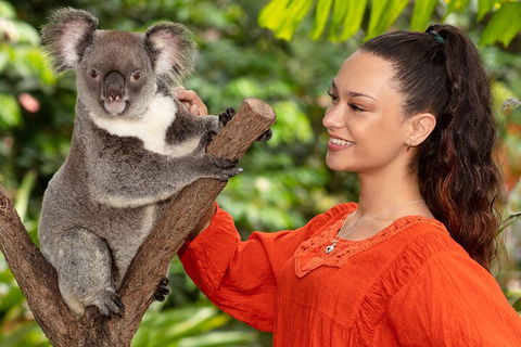 Kuranda Wildlife Experience Three Attraction Pass - Surfers Paradise Gold Coast 4