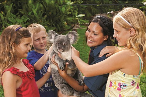 Kuranda Koala Gardens General Entry Ticket - Surfers Paradise Gold Coast 0