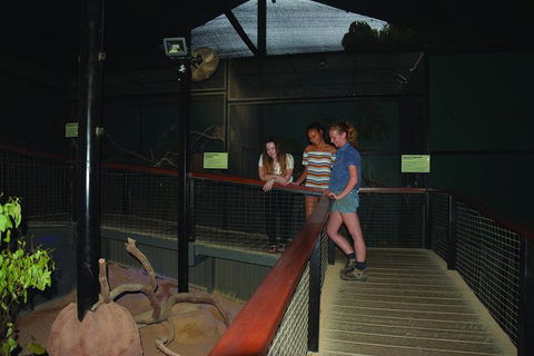 Kuranda Koala Gardens General Entry Ticket - Surfers Paradise Gold Coast 2