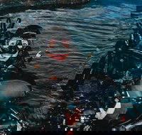 Cairns Aquarium Dive with the Sharks - Surfers Paradise Gold Coast