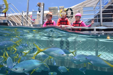 Outer Reef Pontoon Experience From Cairns - Surfers Paradise Gold Coast 0