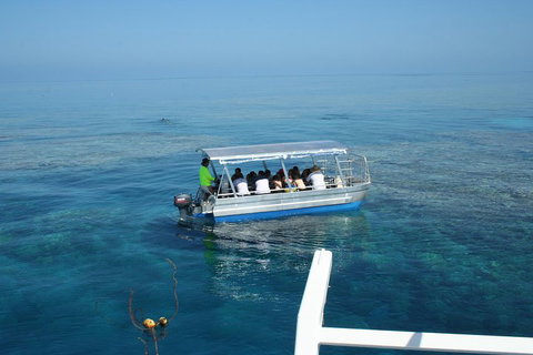 Seastar Luxury Outer Great Barrier Reef Island And Reef Tour From Cairns - Surfers Paradise Gold Coast 5