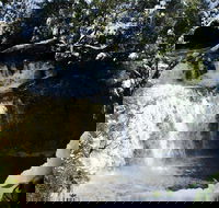 Cradle Mountain Day Tour from Launceston Including Lunch - Surfers Paradise Gold Coast