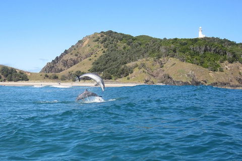 Kayaking With Dolphins In Byron Bay Guided Tour - Surfers Paradise Gold Coast 0