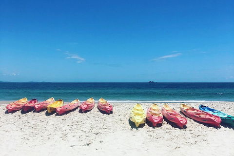 Kayaking With Dolphins In Byron Bay Guided Tour - Surfers Paradise Gold Coast 1