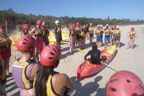 Kayaking With Dolphins In Byron Bay Guided Tour - Surfers Paradise Gold Coast 2