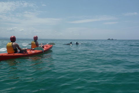 Kayaking With Dolphins In Byron Bay Guided Tour - Surfers Paradise Gold Coast 4
